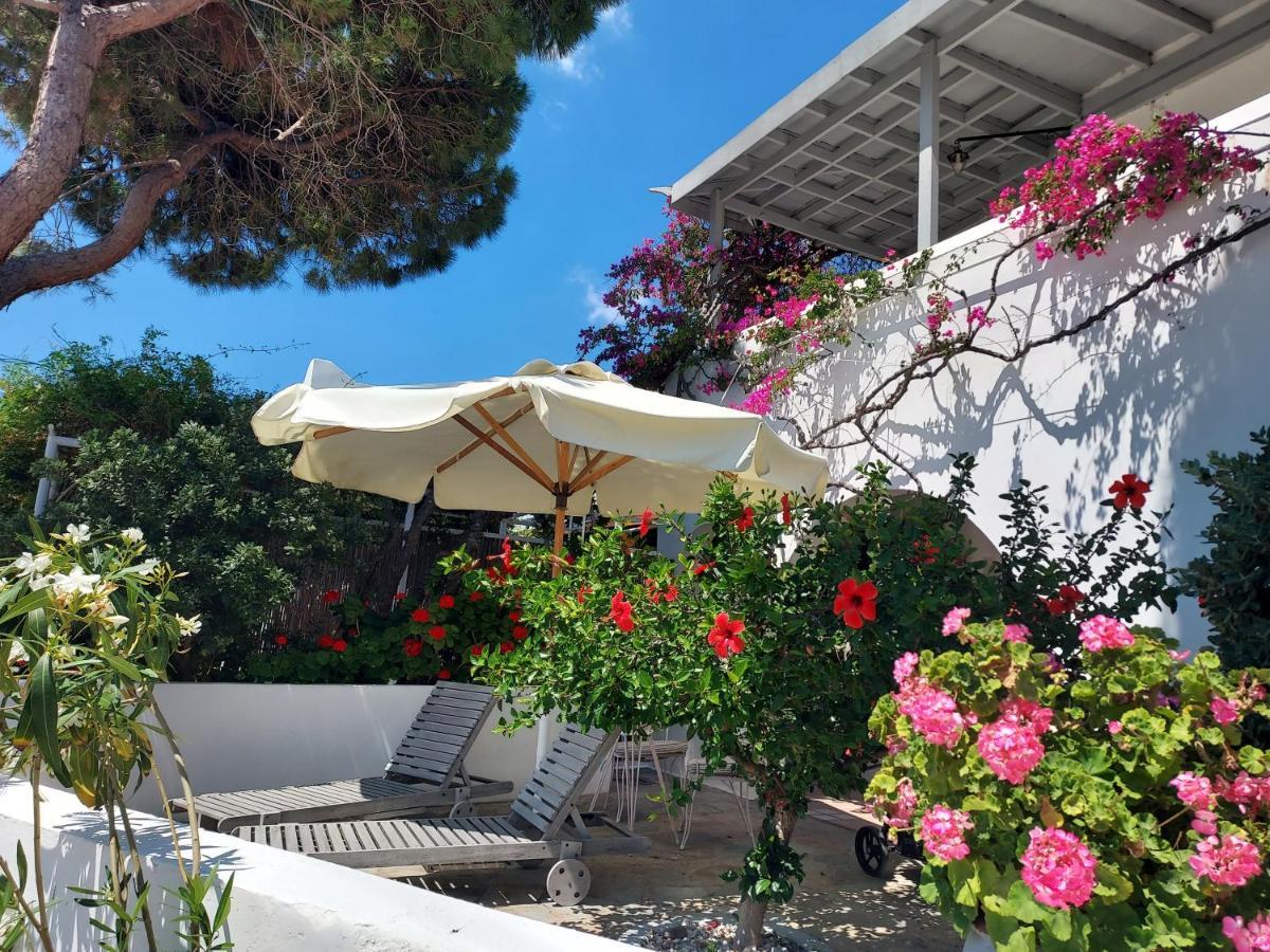 Villa Arni Andros - Βίλα Αρνη Batsi  Exterior photo