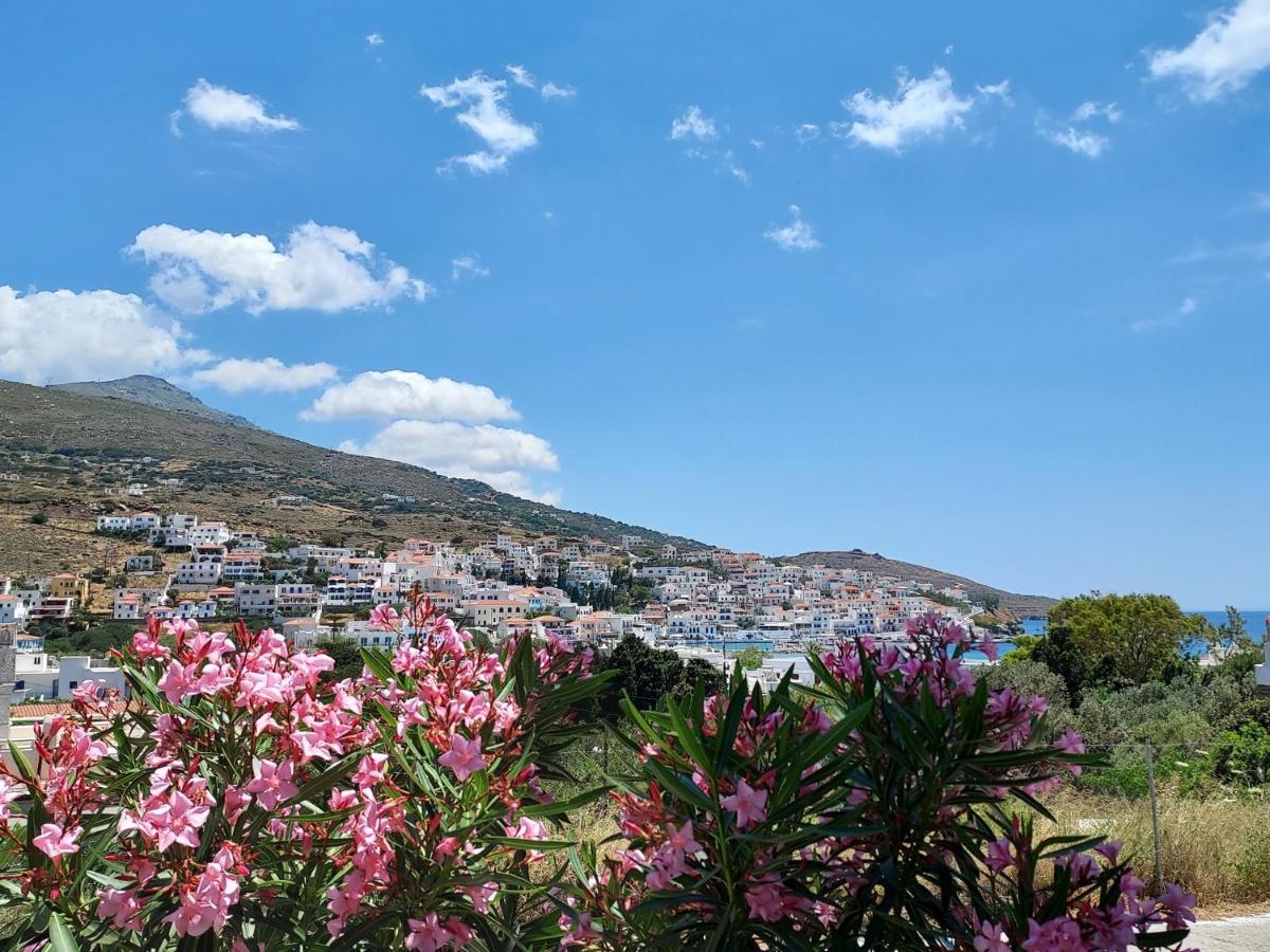 Villa Arni Andros - Βίλα Αρνη Batsi  Exterior photo