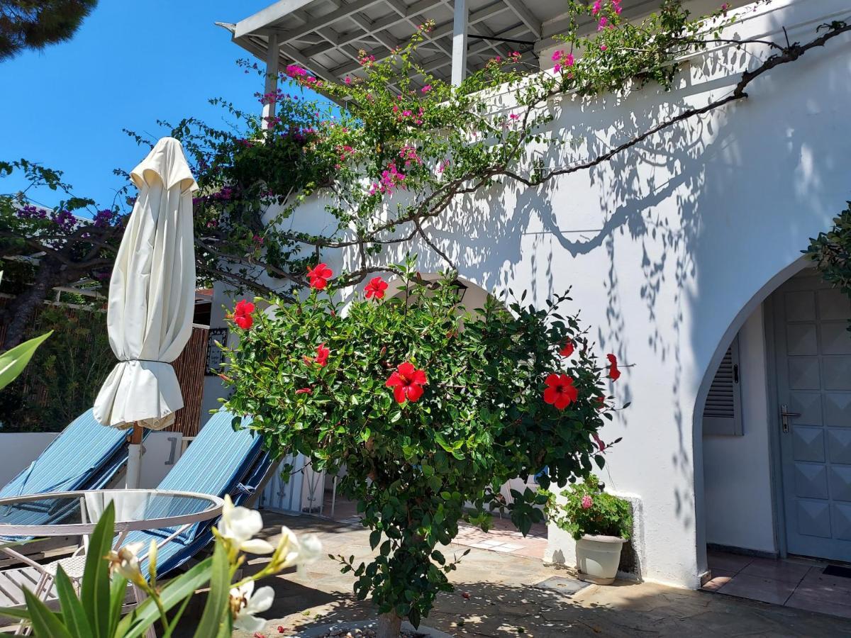 Villa Arni Andros - Βίλα Αρνη Batsi  Exterior photo